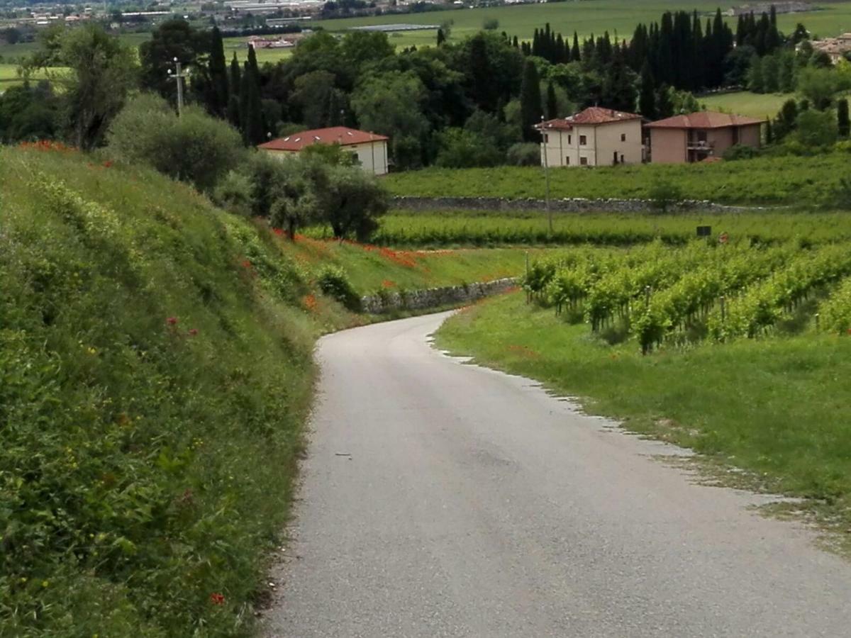 B&B Corte Giare SantʼAmbrogio di Valpolicella Exteriör bild